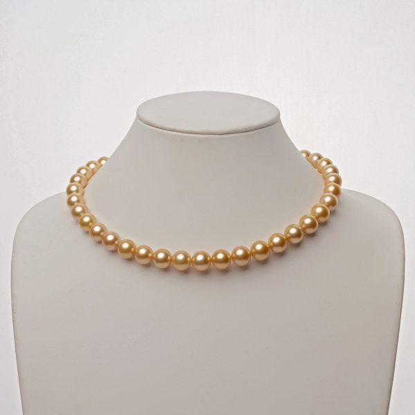 10.0-11.9 mm AA+/AAA Golden South Sea Round Pearl Necklace