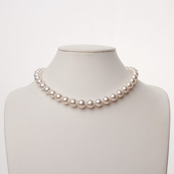 10.0-12.3 mm AA+/AAA White South Sea Round Pearl Necklace